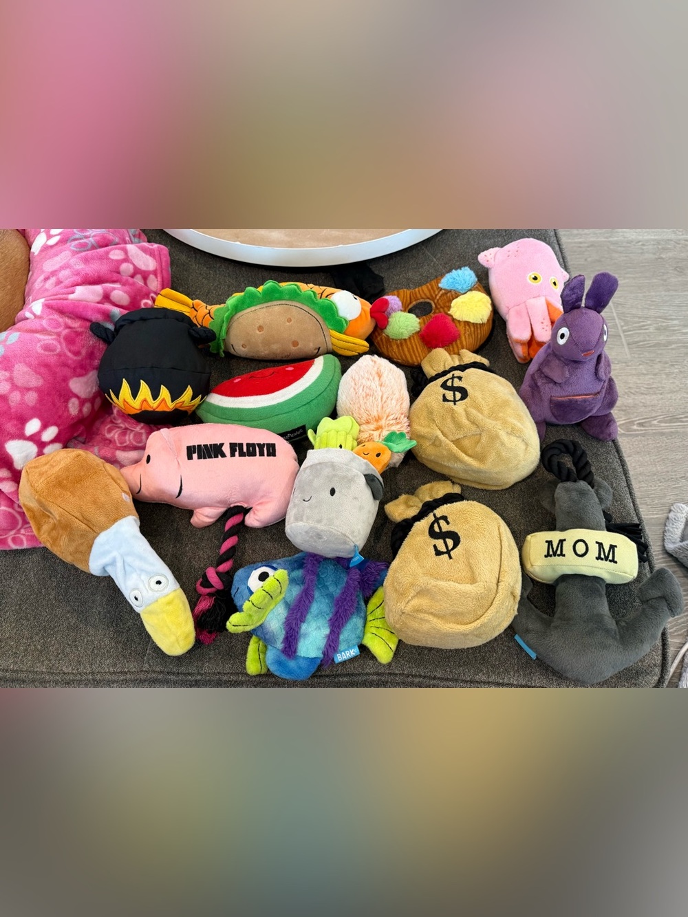 Assorted Plush Dog Toys - Multi-Color Pack